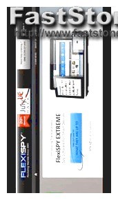 Flexispy vs Ikeymonitor